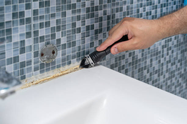Best Fast Mold Removal  in Kearny, AZ